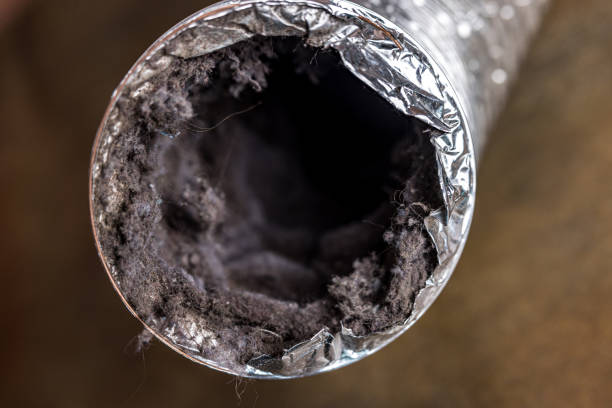 Best Affordable HVAC Duct Cleaning  in St Simons, GA